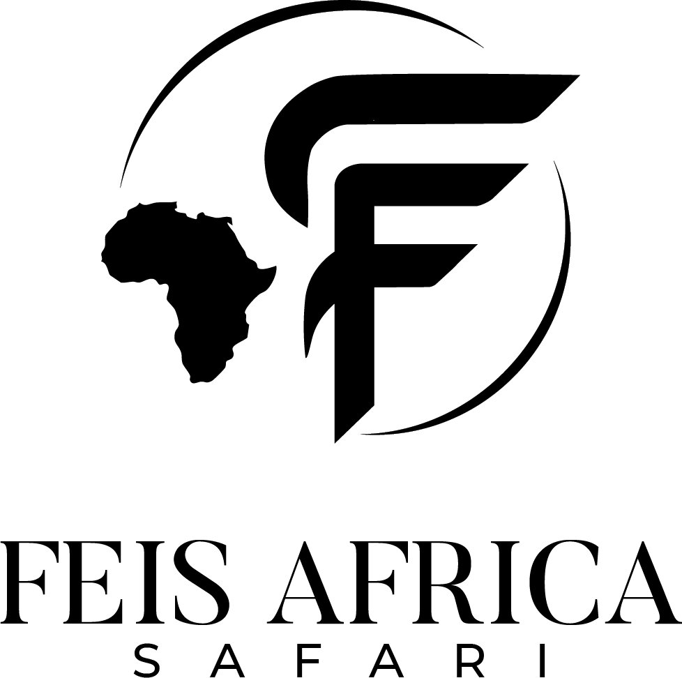Feis Africa Safari logo